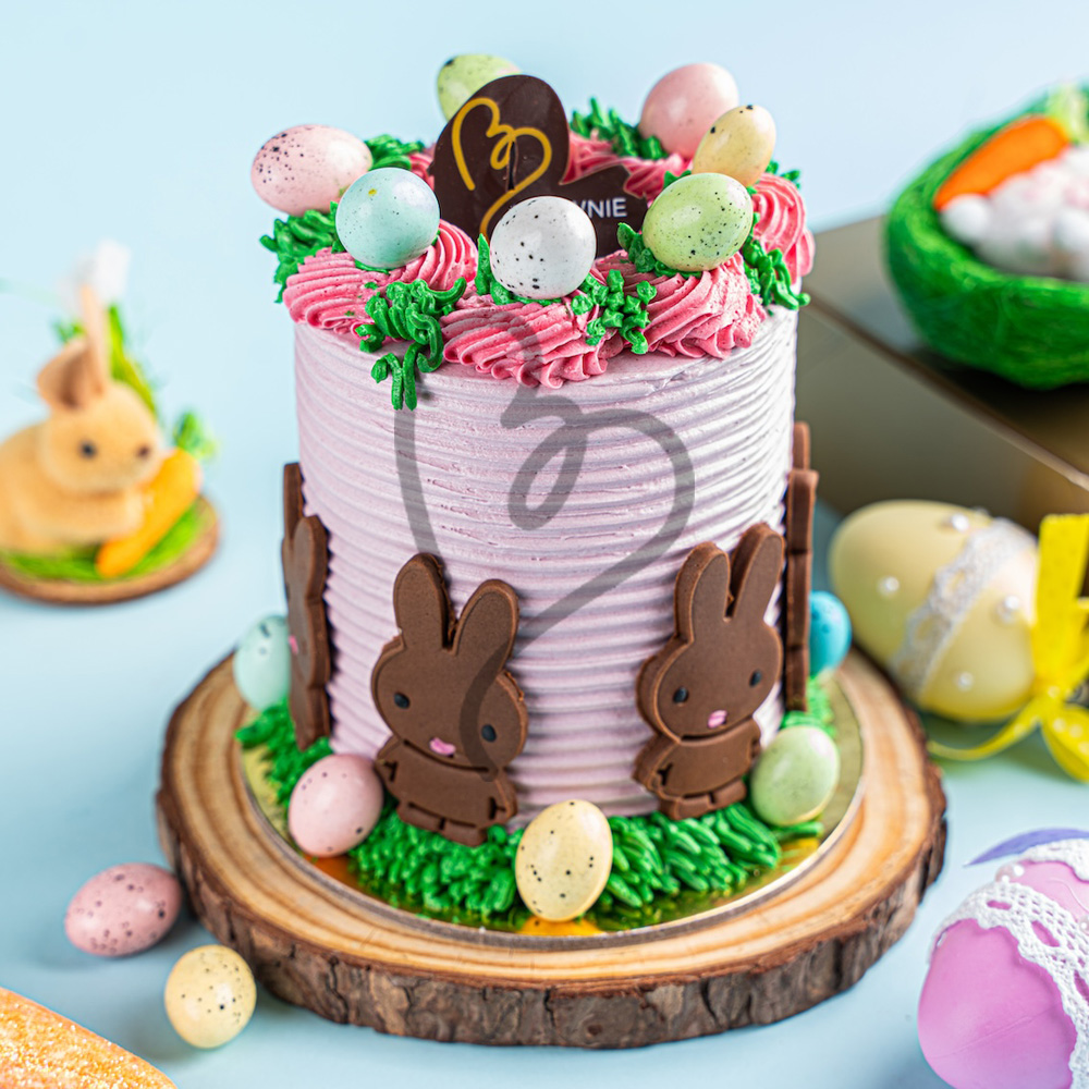 Easter Bunny Bento Cake (500 gms)