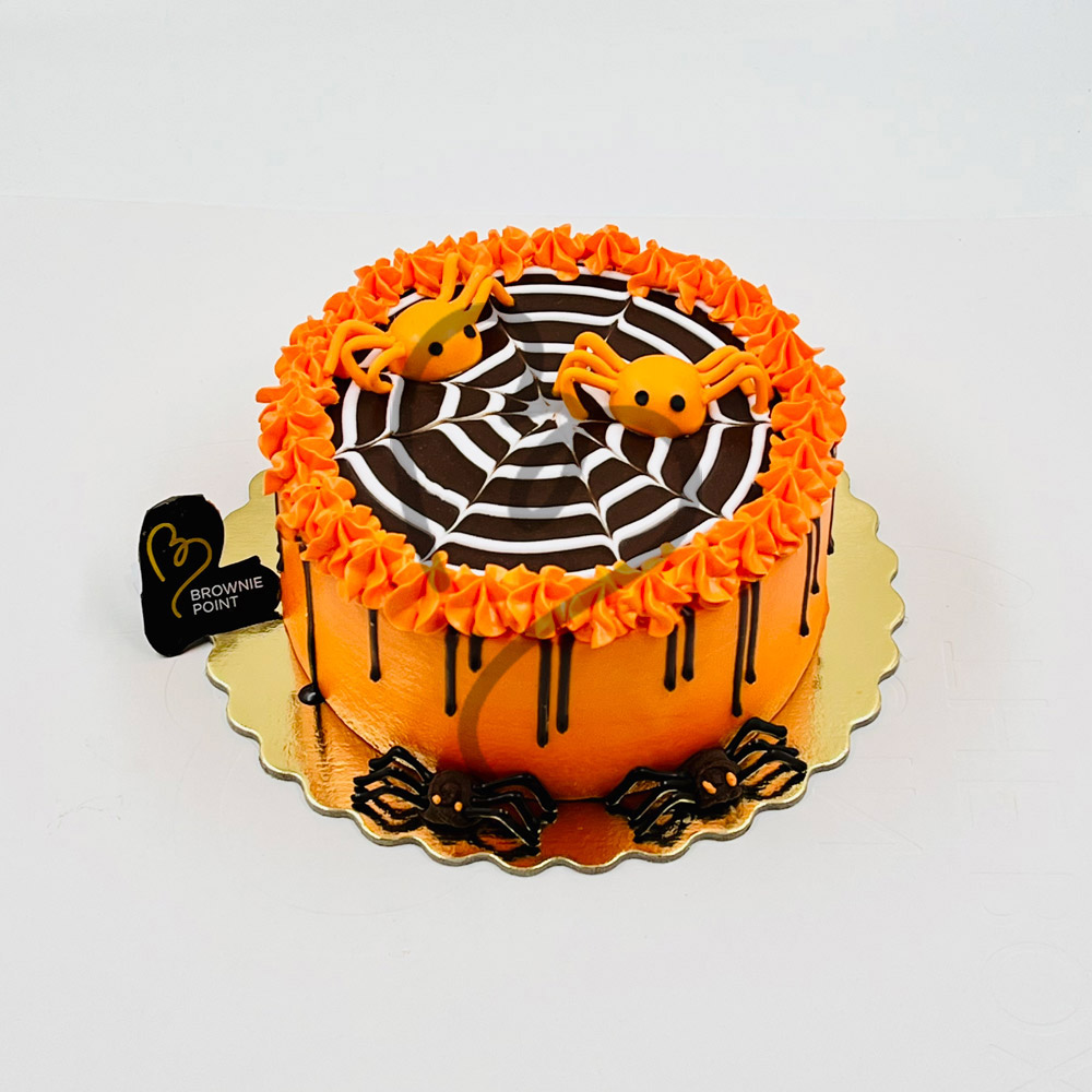 Halloween Spider Web Cake