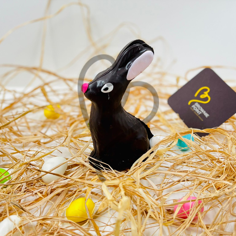 Chocolate Bunny